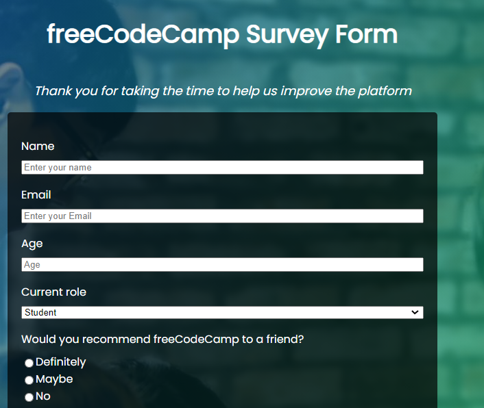 Survey Form